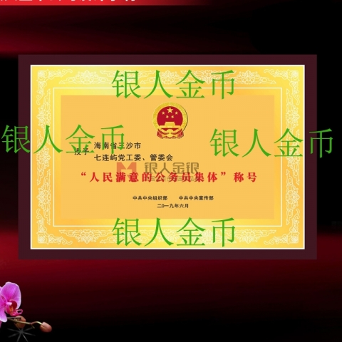 中組部人民滿意的公務(wù)員集體獎(jiǎng)牌證書(shū)